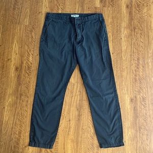 Express Men Dark Blue 32/30 Pants